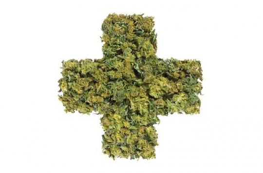 Cannabis thérapeutique : nouvelle entorse en vue sur la régulation des médicaments