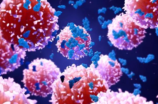 Immunothérapie : comment l’environnement des tumeurs permet au cancer de progresser