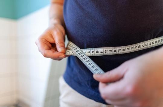 Obésité : et si la perturbation du rythme circadien par les régimes riches en graisse était en cause ?