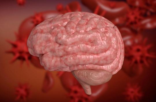 Comment l'intestin protège le cerveau contre les infections