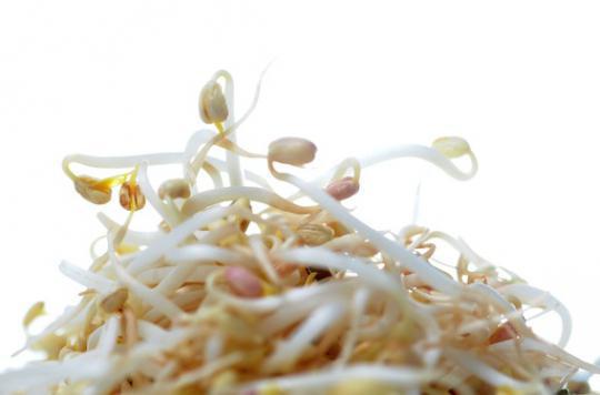 Ménopause : le soja protégerait de l'ostéoporose 