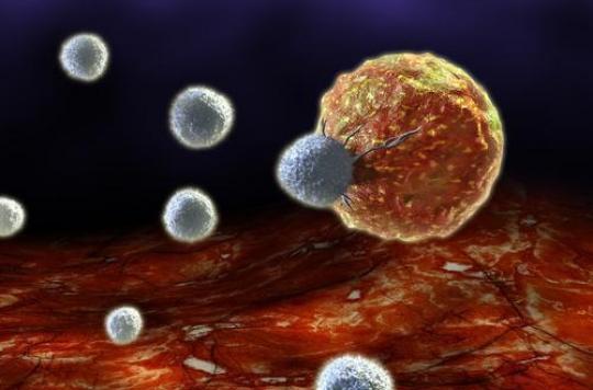 Deux nouvelles pistes pour faire advancer l’immunothérapie du cancer