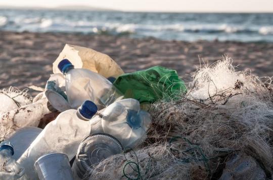 Une larve pour débarrasser les océans des plastiques résistants