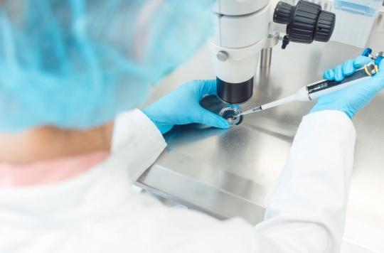 PMA : le dépistage pré-implantatoire de la trisomie 21 refusé par le Sénat 
