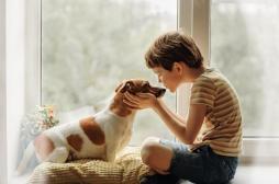 Comment expliquer à un enfant la mort de son animal de compagnie