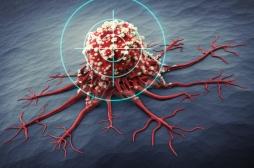 Comment les cellules cancéreuses “hibernent” pour échapper à la chimiothérapie