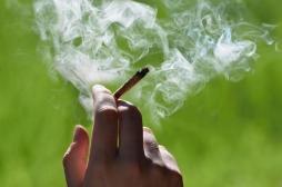 États-Unis : une étrange épidémie de vomis incontrôlables touche les fumeurs de cannabis