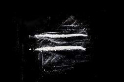 Cocaïne : pourquoi certains deviennent plus facilement addicts