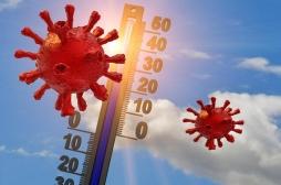 Covid-19 : la météo a bien une incidence sur la transmission du virus