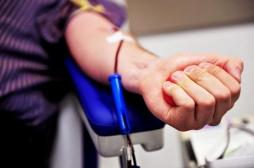 VIH : l’ouverture du don de sang aux homosexuels n’a pas augmenté le risque de transmission