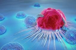 Nobel de médecine : couronnement de la révolution de l’immunothérapie en cancérologie