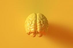 Epilepsie, Parkinson : un nouvel implant cérébral s'annonce révolutionnaire