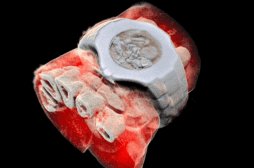 Nouvelle-Zélande : des scientifiques réalisent la première radiographie en 3D et en couleur
