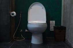 Bientôt des toilettes intelligentes capables de détecter les maladies ?  