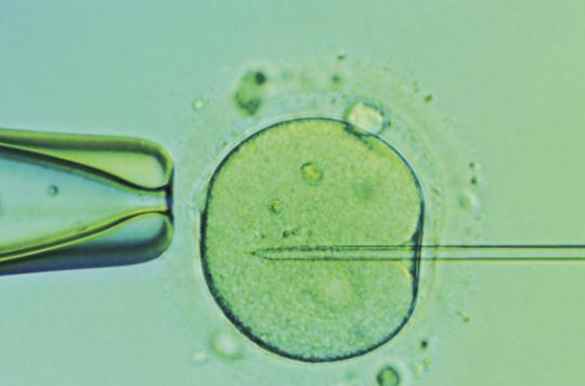 CRISPR-cas9 : des embryons humains modifiés aux Etats-Unis