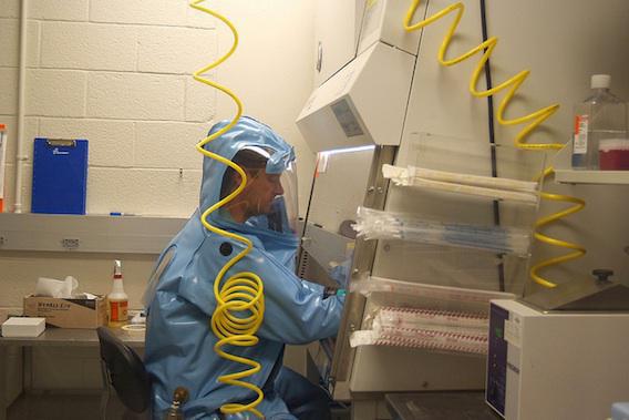 Ebola : le ZMapp réduit la mortalité de 40 % 